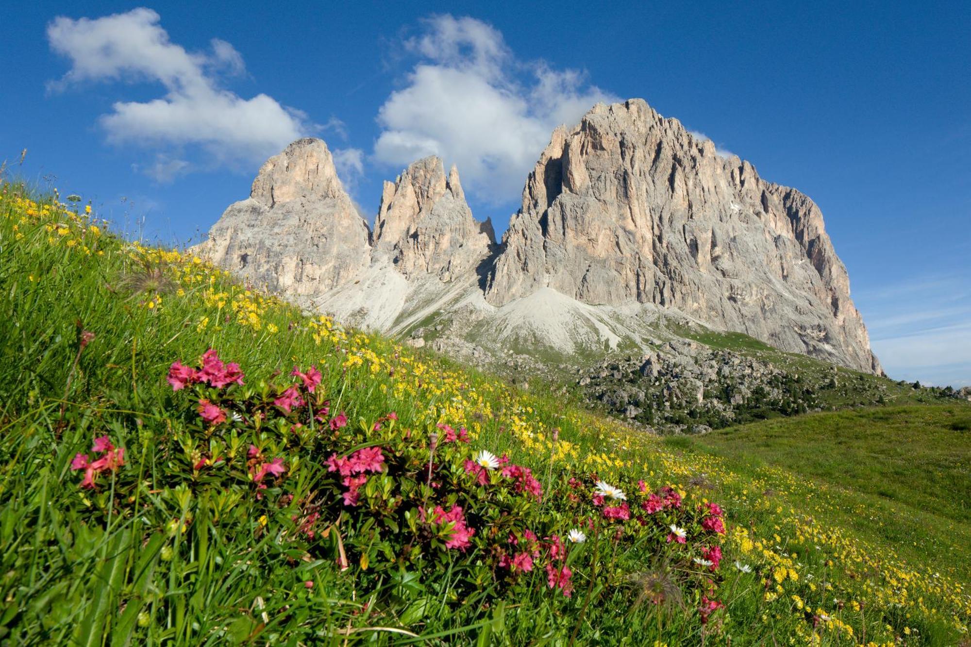 Hotel Gran Paradis Campitello di Fassa Eksteriør bilde